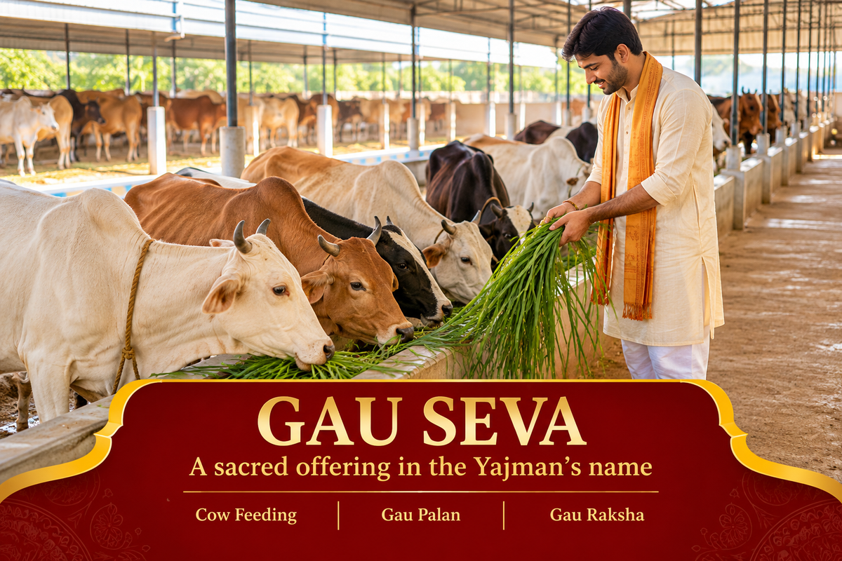 Gau Seva