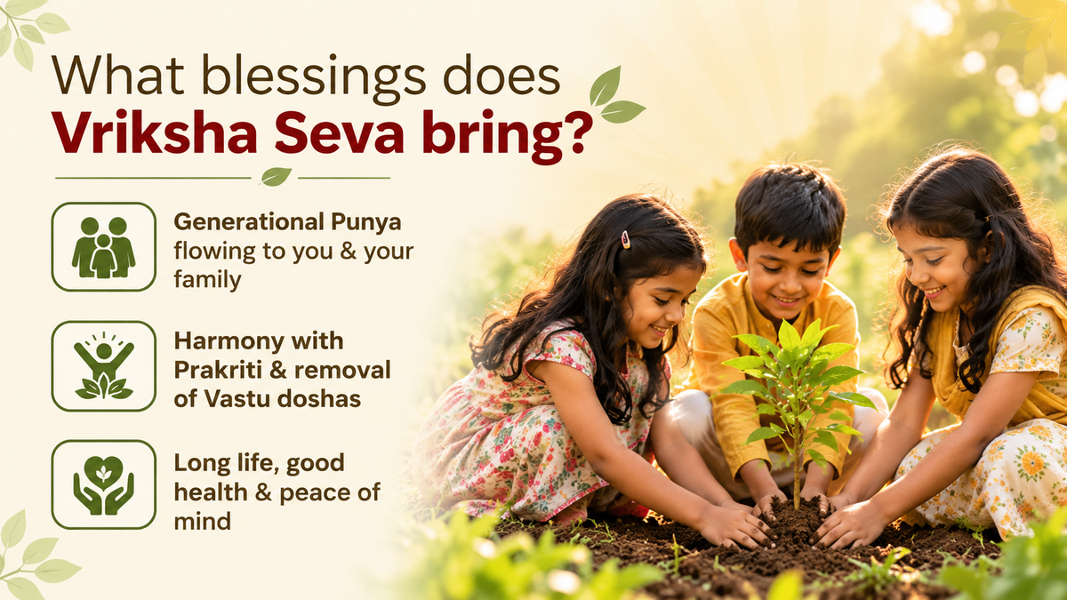 Vriksha Seva