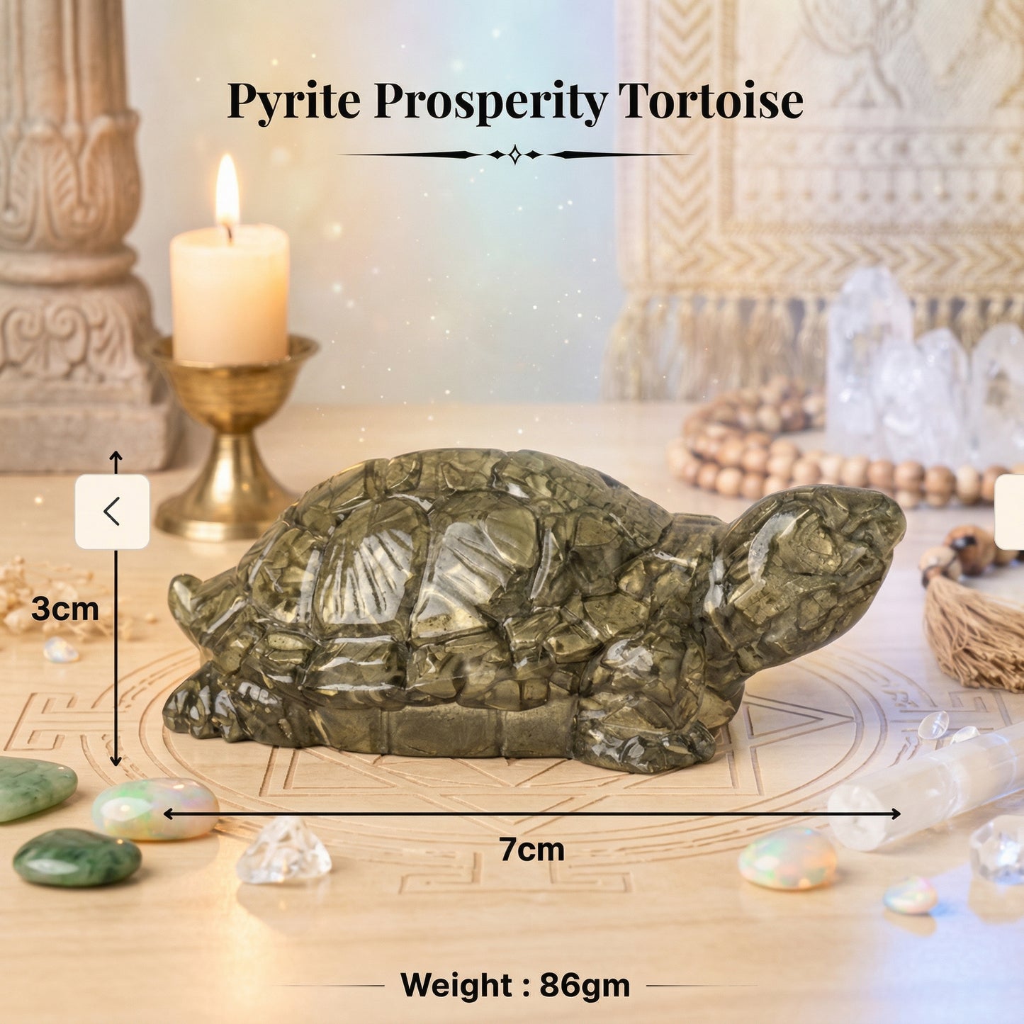 Pyrite Tortoise