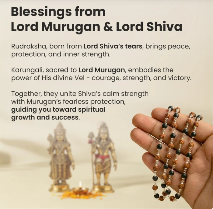 Divya Raksha Mahadev Combo