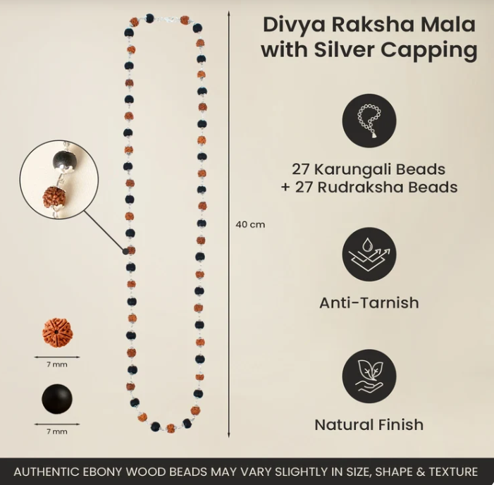 Divya Raksha Mahadev Combo