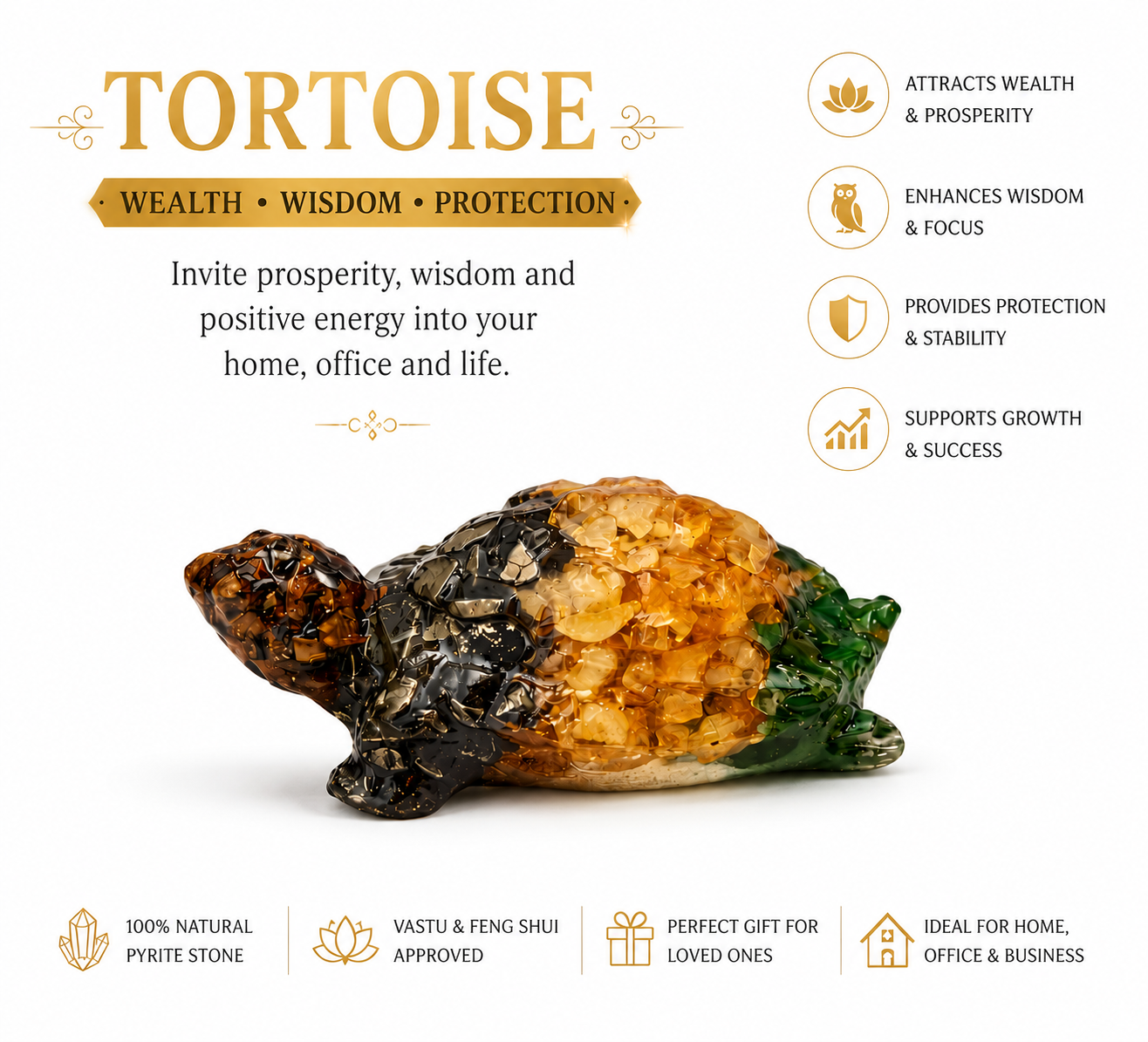 Money Magnet Tortoise