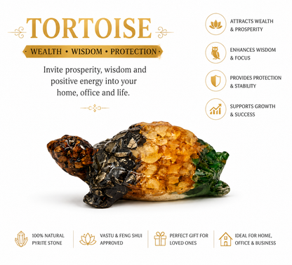 Money Magnet Tortoise