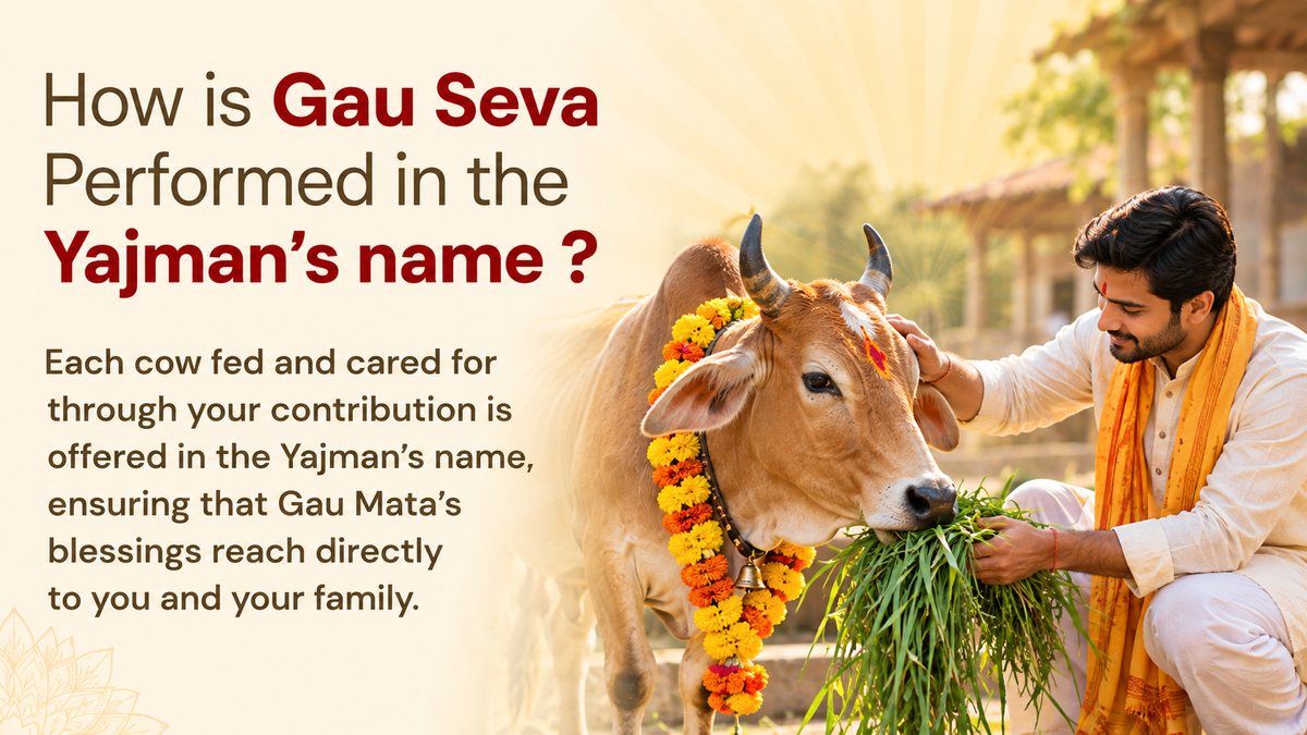 Gau Seva
