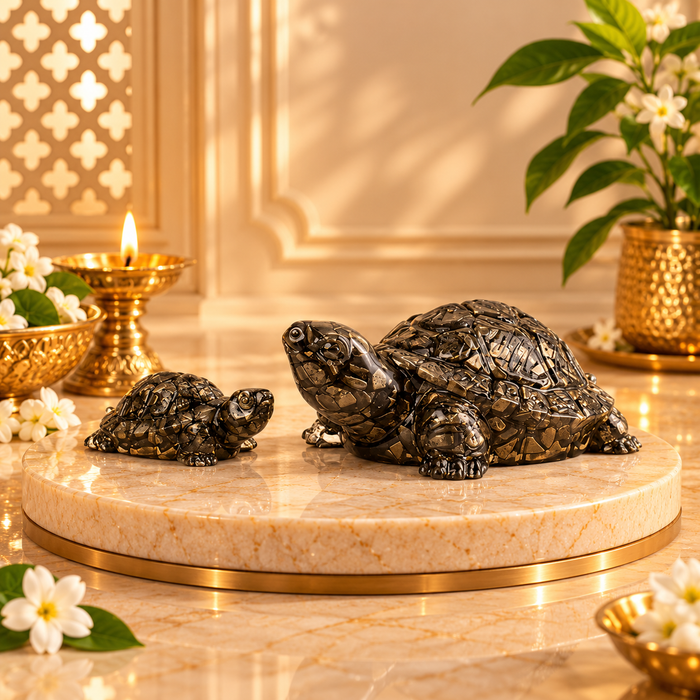 Collector’s Edition Pyrite Tortoise (Kachhua)