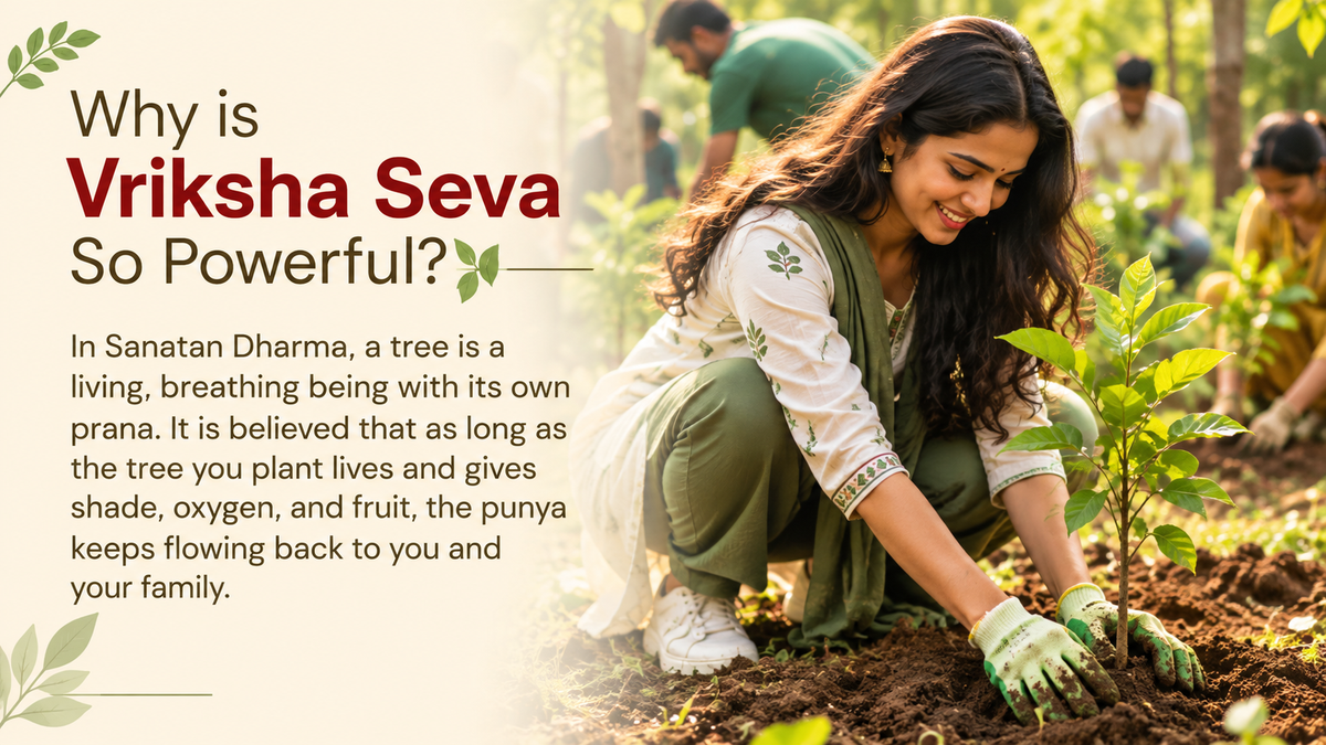 Vriksha Seva
