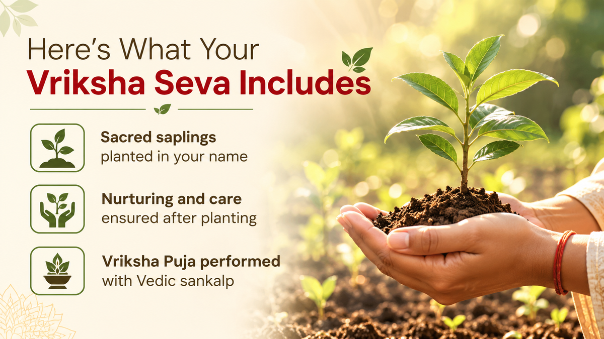 Vriksha Seva