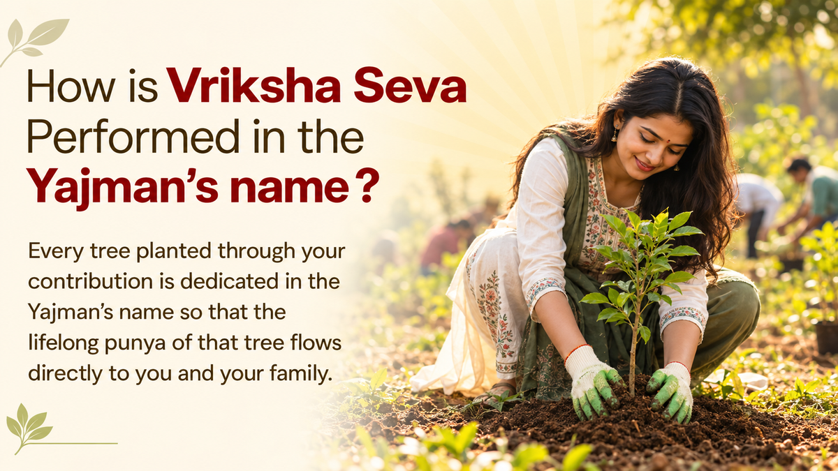 Vriksha Seva