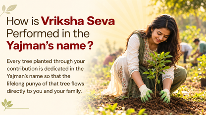 Vriksha Seva