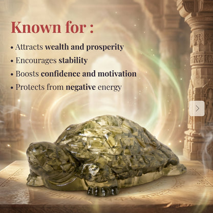 Pyrite Tortoise