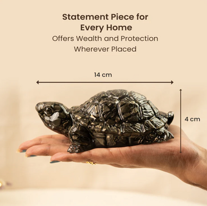 Collector’s Edition Pyrite Tortoise (Kachhua) - Big Size