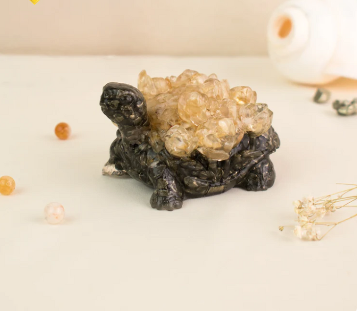Dhan Labh Tortoise