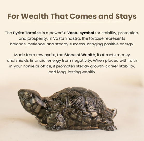Collector’s Edition Pyrite Tortoise (Kachhua) - Big Size