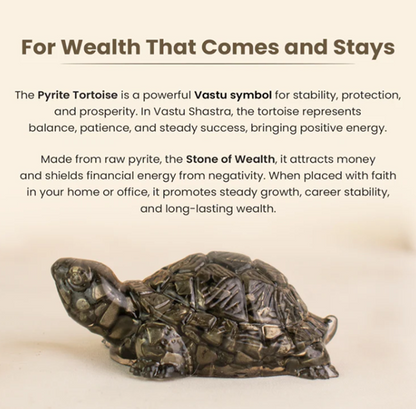 Collector’s Edition Pyrite Tortoise (Kachhua) - Big Size
