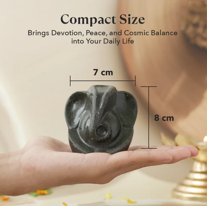 Pyrite Ganesha Ji