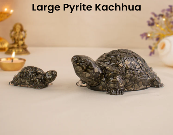 Collector’s Edition Pyrite Tortoise (Kachhua)