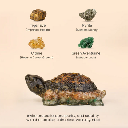 Money Magnet Tortoise