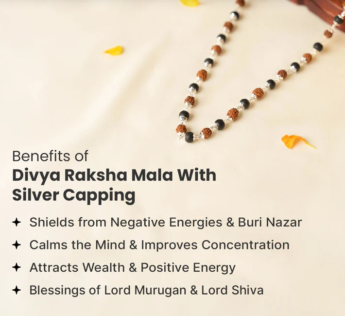 Rudraksha and Karungali Malai