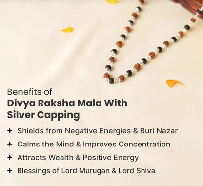 Rudraksha and Karungali Malai