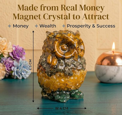 Money Magnet Owl Small
