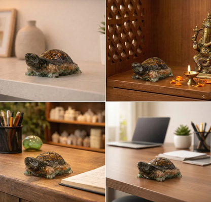 Money Magnet Tortoise