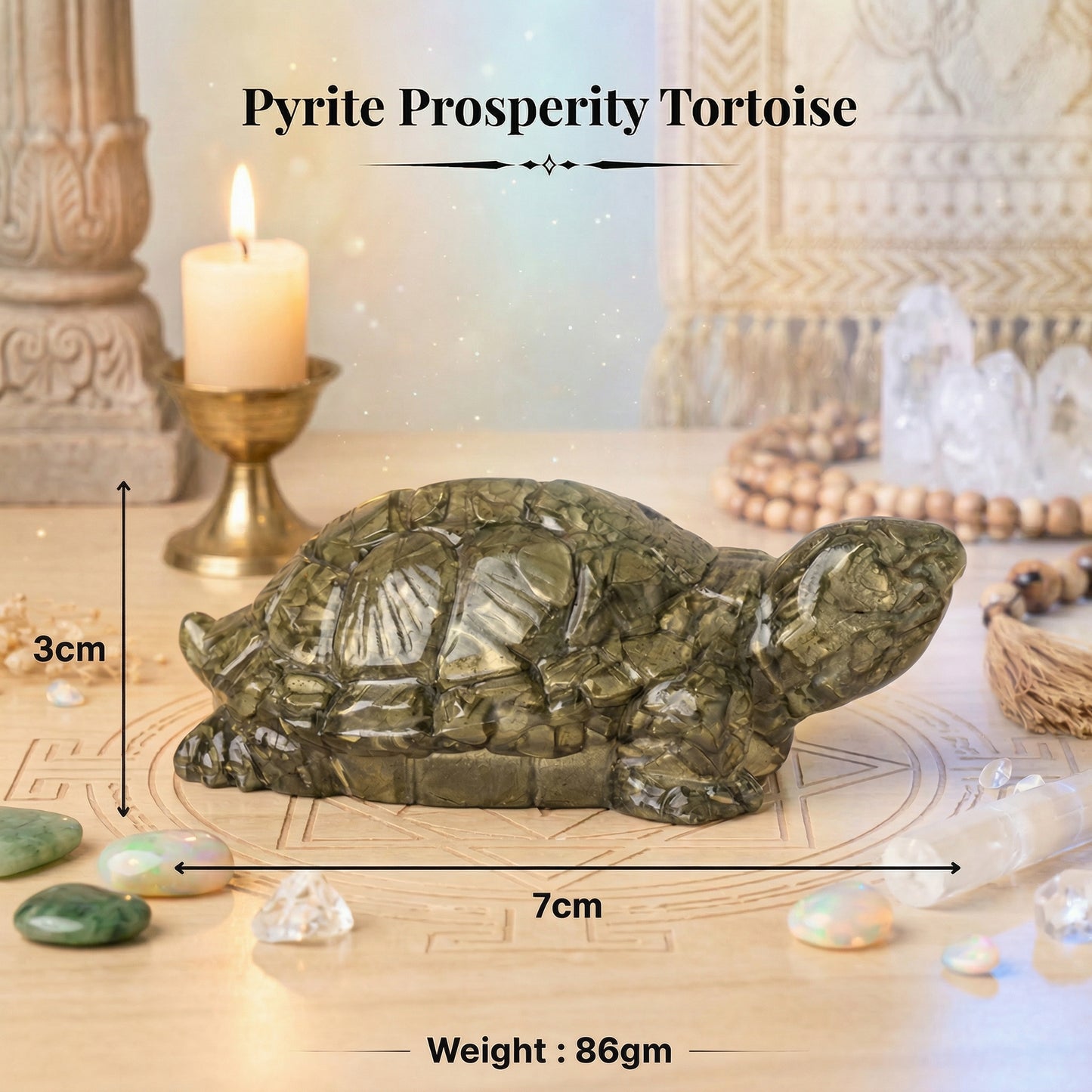 Pyrite Tortoise