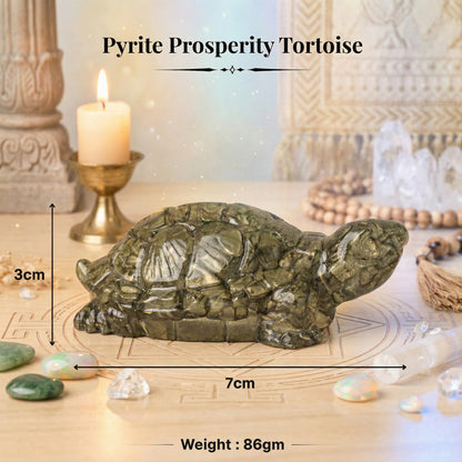 Pyrite Tortoise