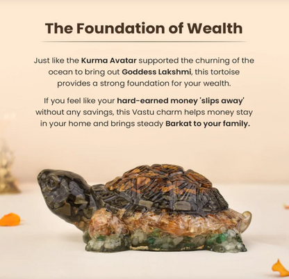 Money Magnet Tortoise
