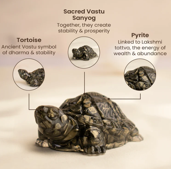 Collector’s Edition Pyrite Tortoise (Kachhua) - Big Size