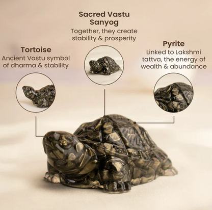 Collector’s Edition Pyrite Tortoise (Kachhua) - Big Size