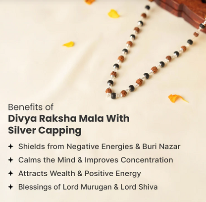 Divya Raksha Mahadev Combo