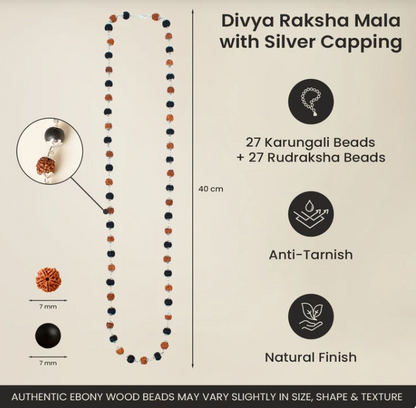 Divya Raksha Mahadev Combo