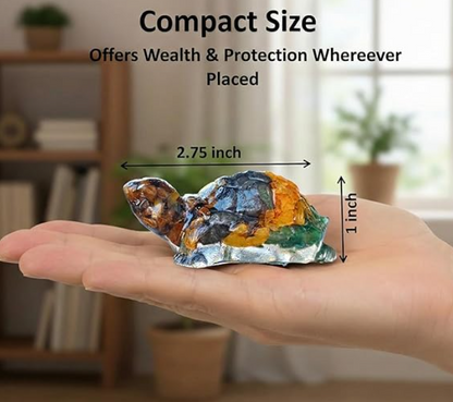 Money Magnet Tortoise